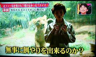 芸能人と動物の写真