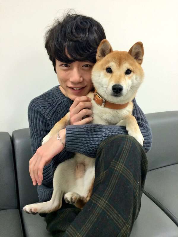 芸能人と動物の写真