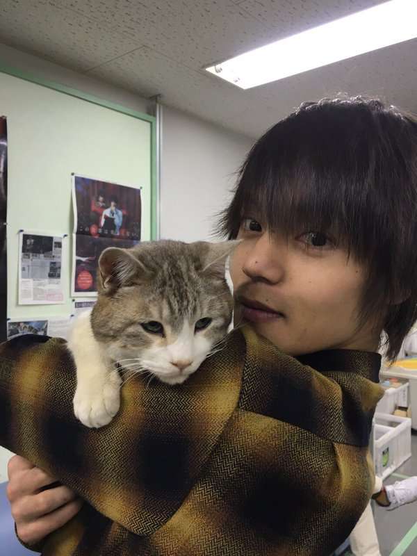 芸能人と動物の写真