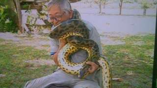 芸能人と動物の写真
