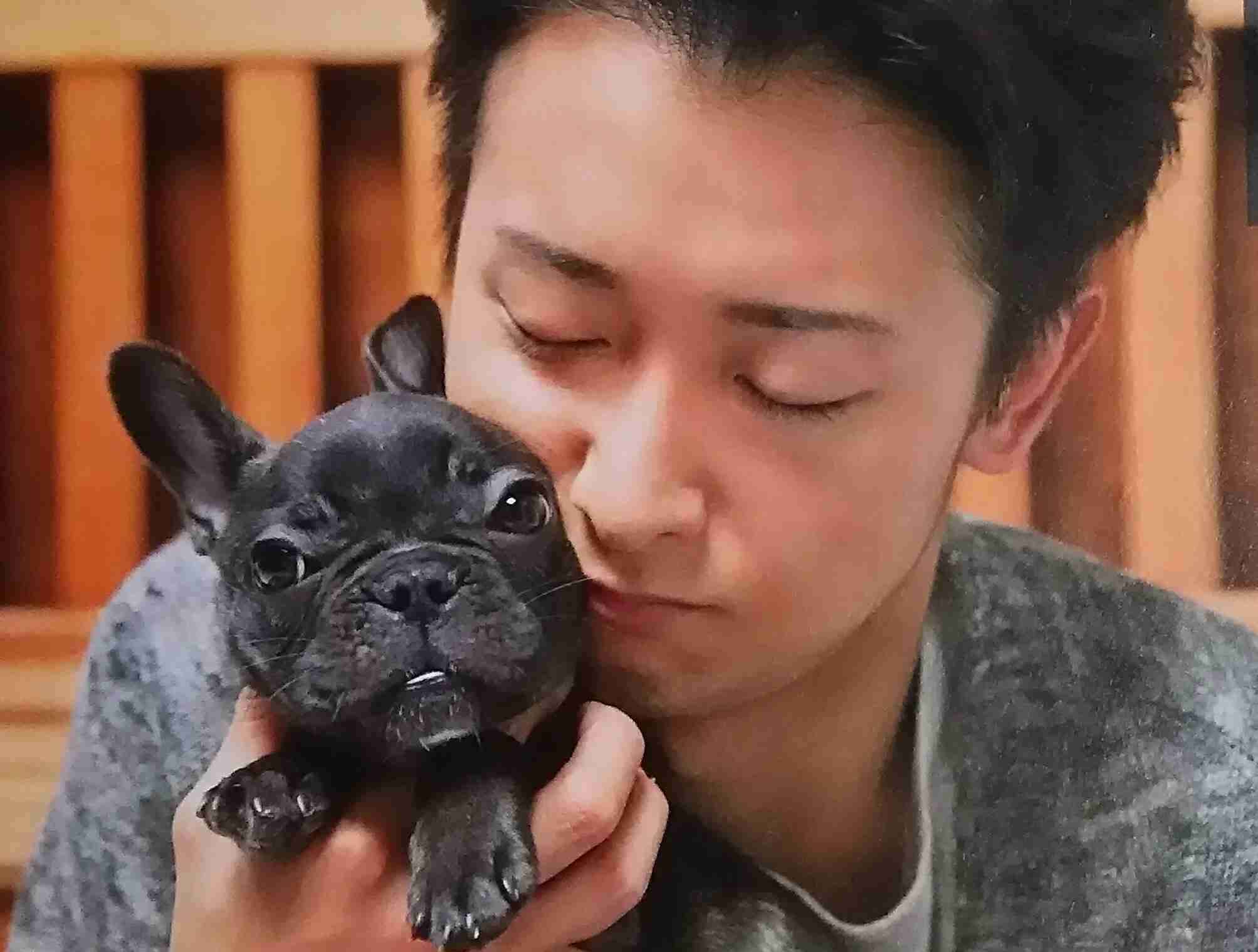 芸能人と動物の写真