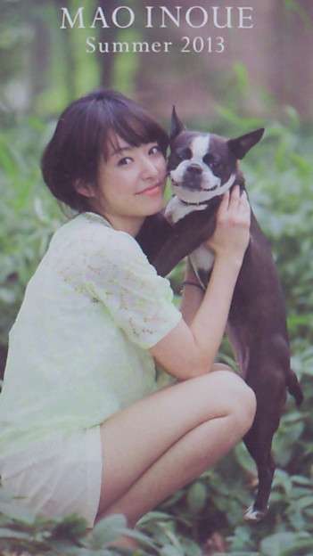 芸能人と動物の写真
