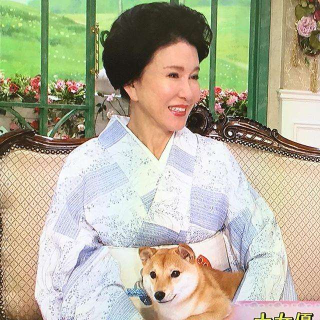 芸能人と動物の写真