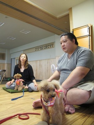 芸能人と動物の写真