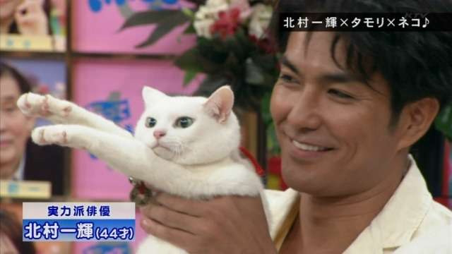 芸能人と動物の写真