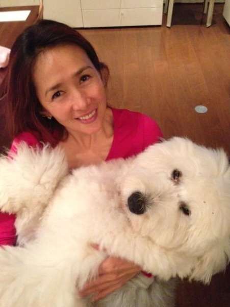 芸能人と動物の写真