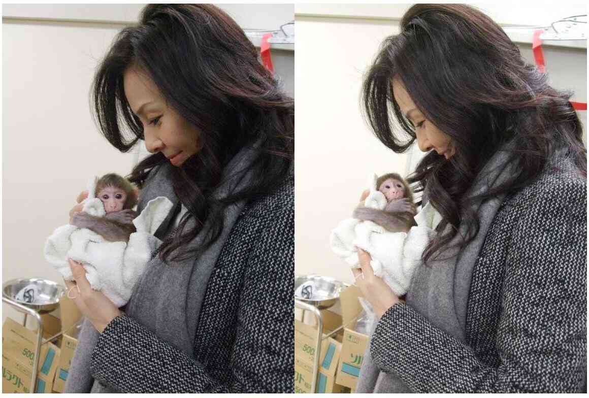 芸能人と動物の写真