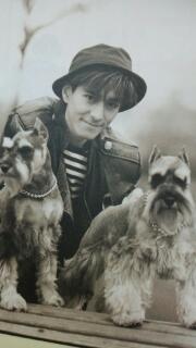 芸能人と動物の写真