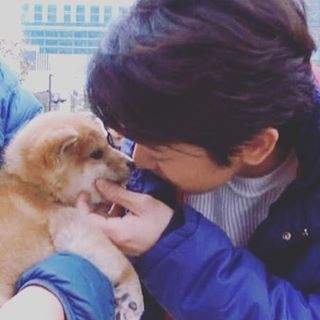 芸能人と動物の写真