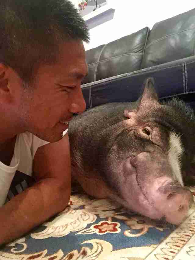 芸能人と動物の写真