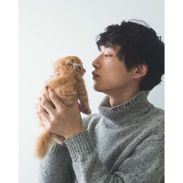 芸能人と動物の写真