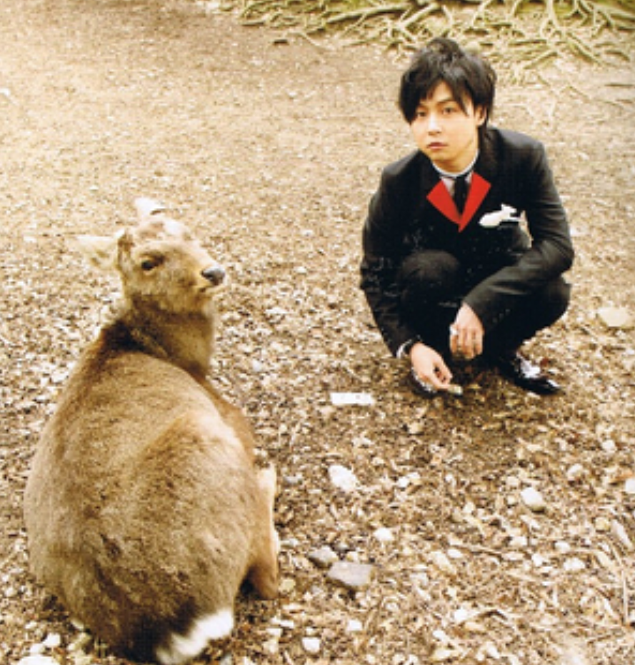 芸能人と動物の写真