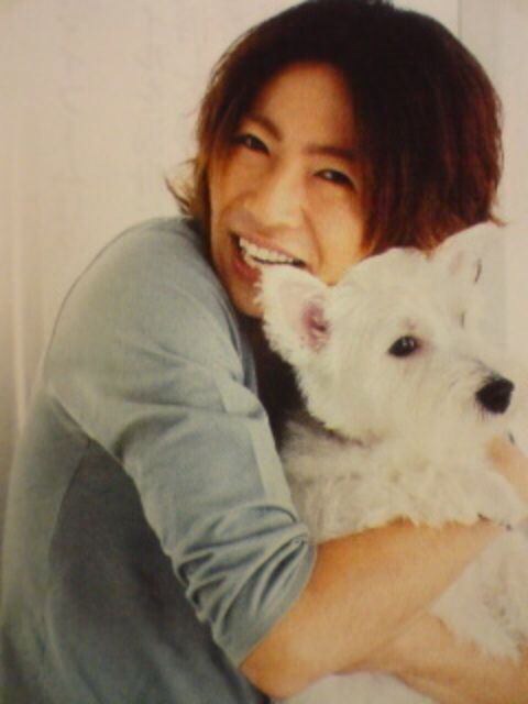 芸能人と動物の写真