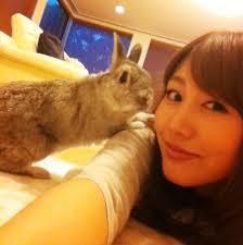 芸能人と動物の写真