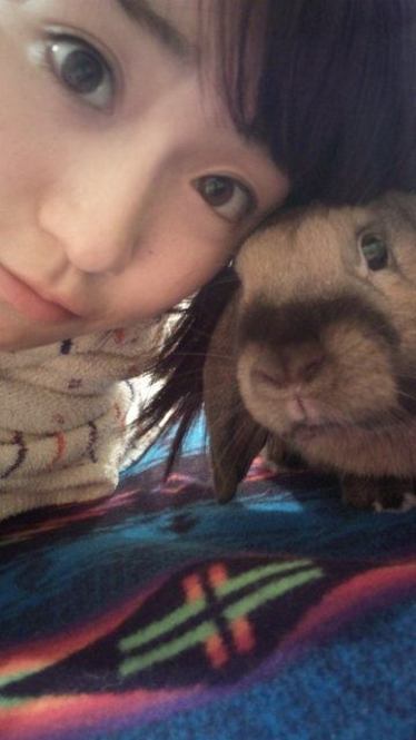 芸能人と動物の写真