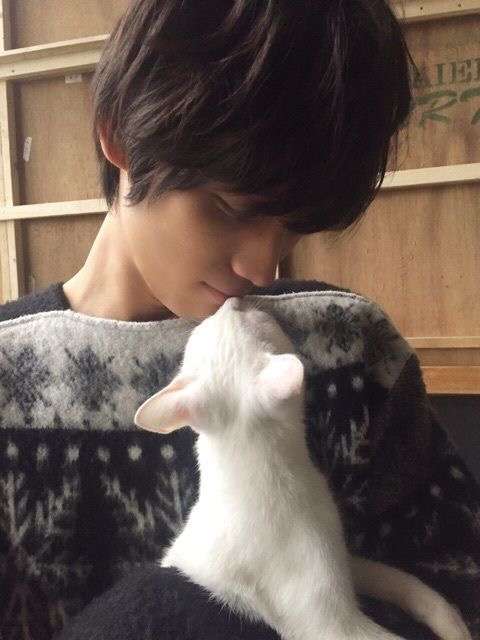 芸能人と動物の写真