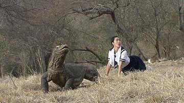 芸能人と動物の写真