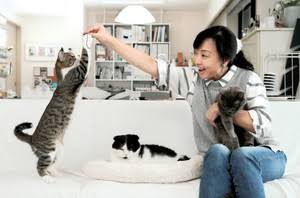 芸能人と動物の写真