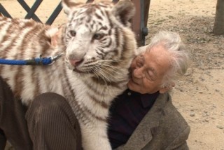 芸能人と動物の写真