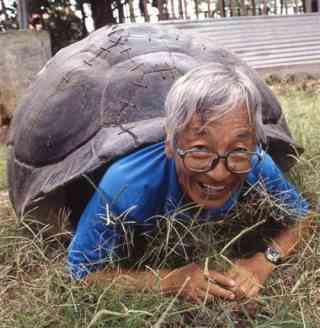 芸能人と動物の写真