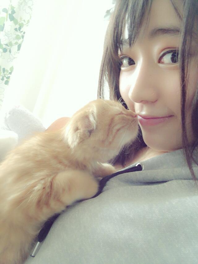 芸能人と動物の写真