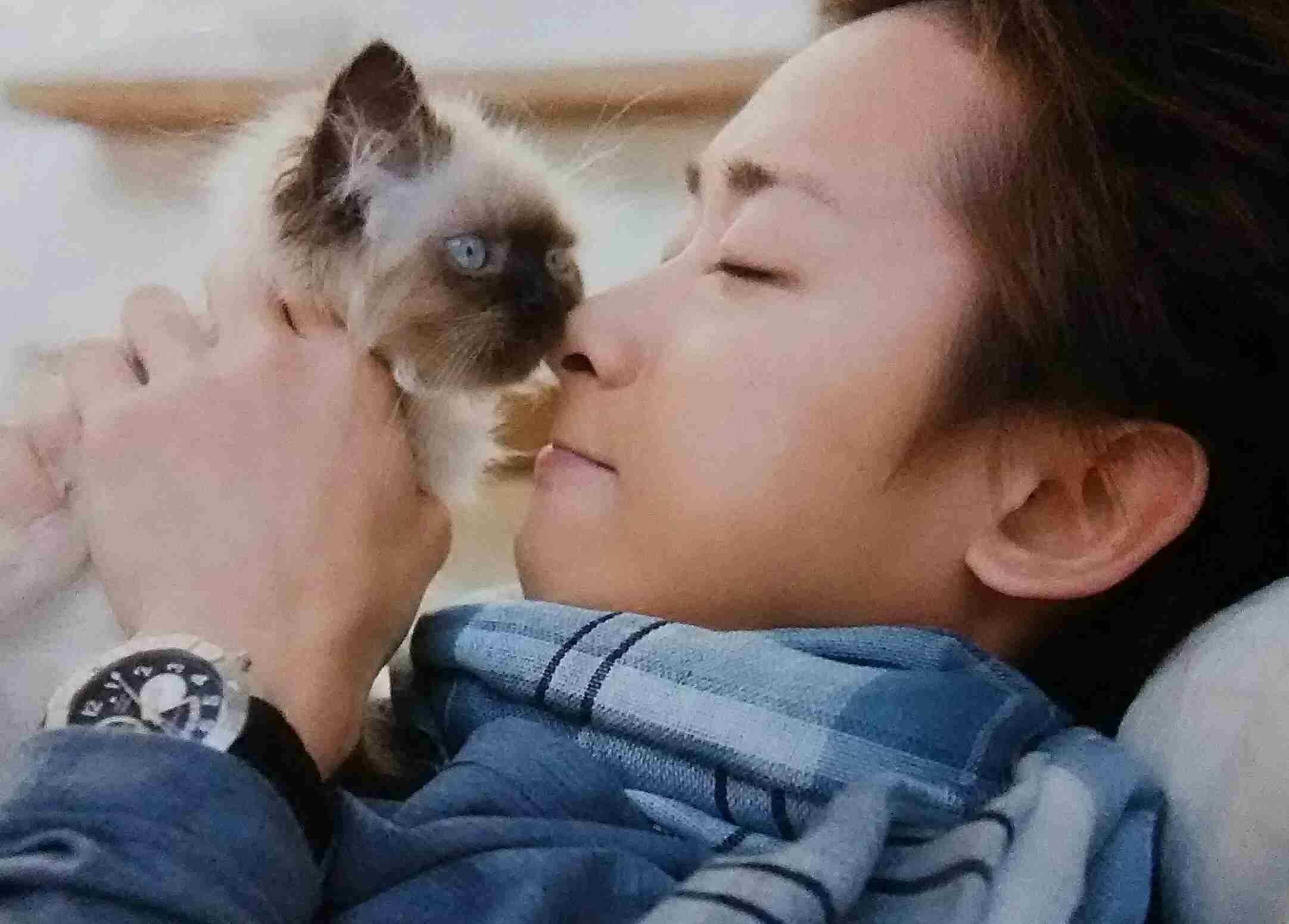 芸能人と動物の写真