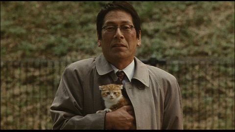 芸能人と動物の写真