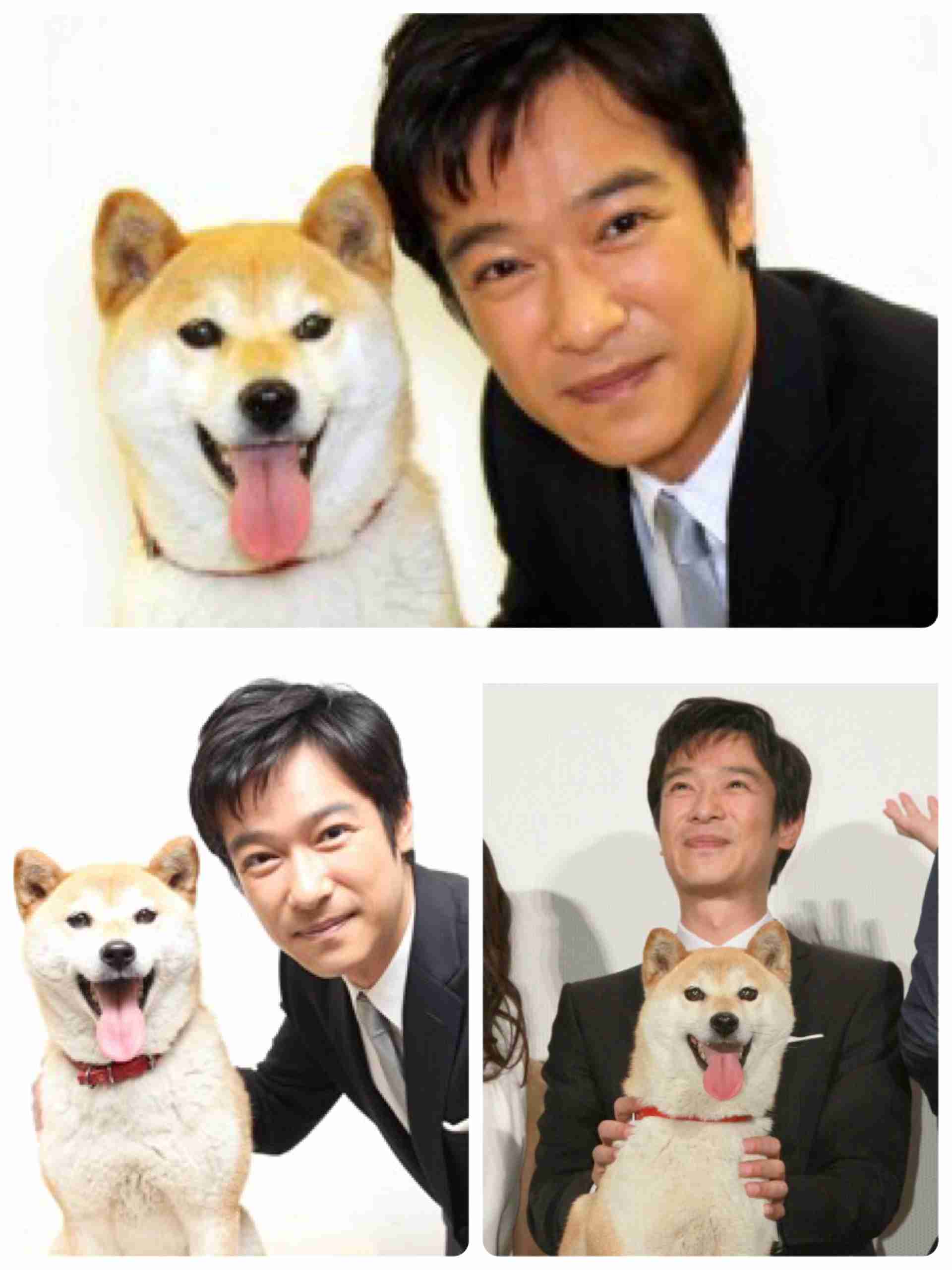 芸能人と動物の写真