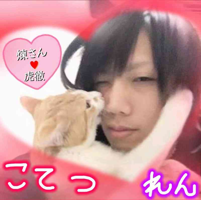 芸能人と動物の写真