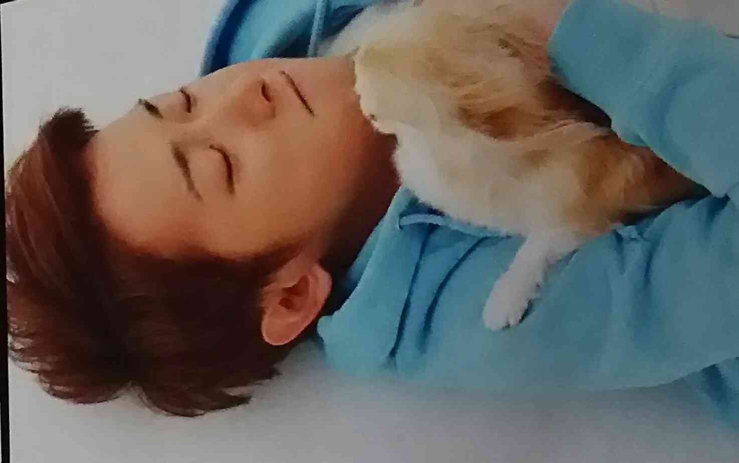 芸能人と動物の写真