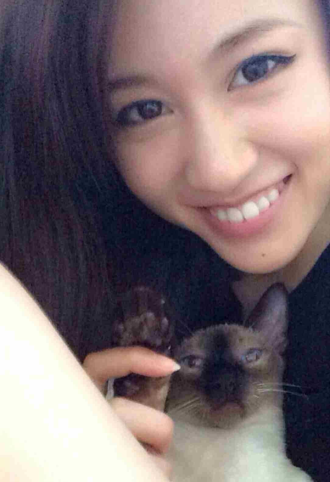 芸能人と動物の写真