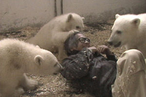 芸能人と動物の写真