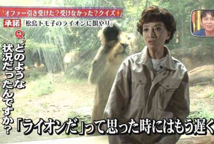 芸能人と動物の写真