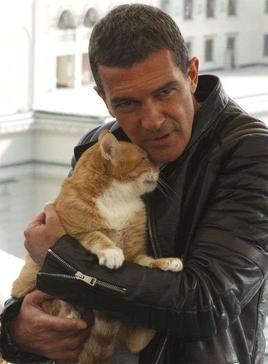 芸能人と動物の写真