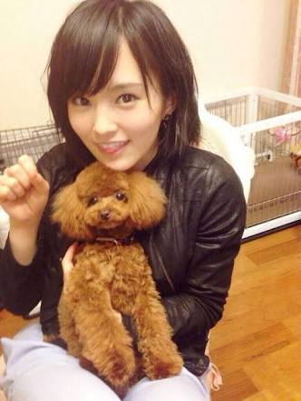 芸能人と動物の写真