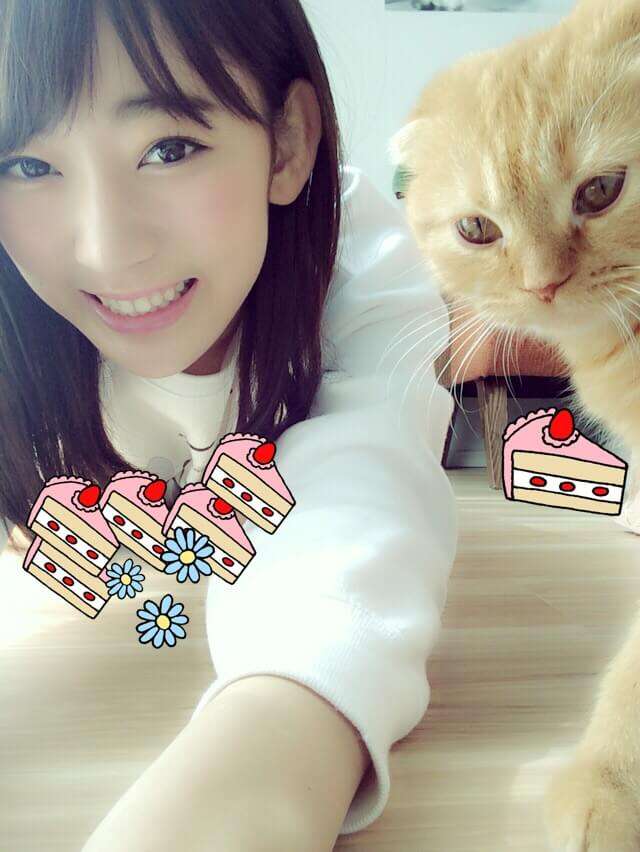 芸能人と動物の写真