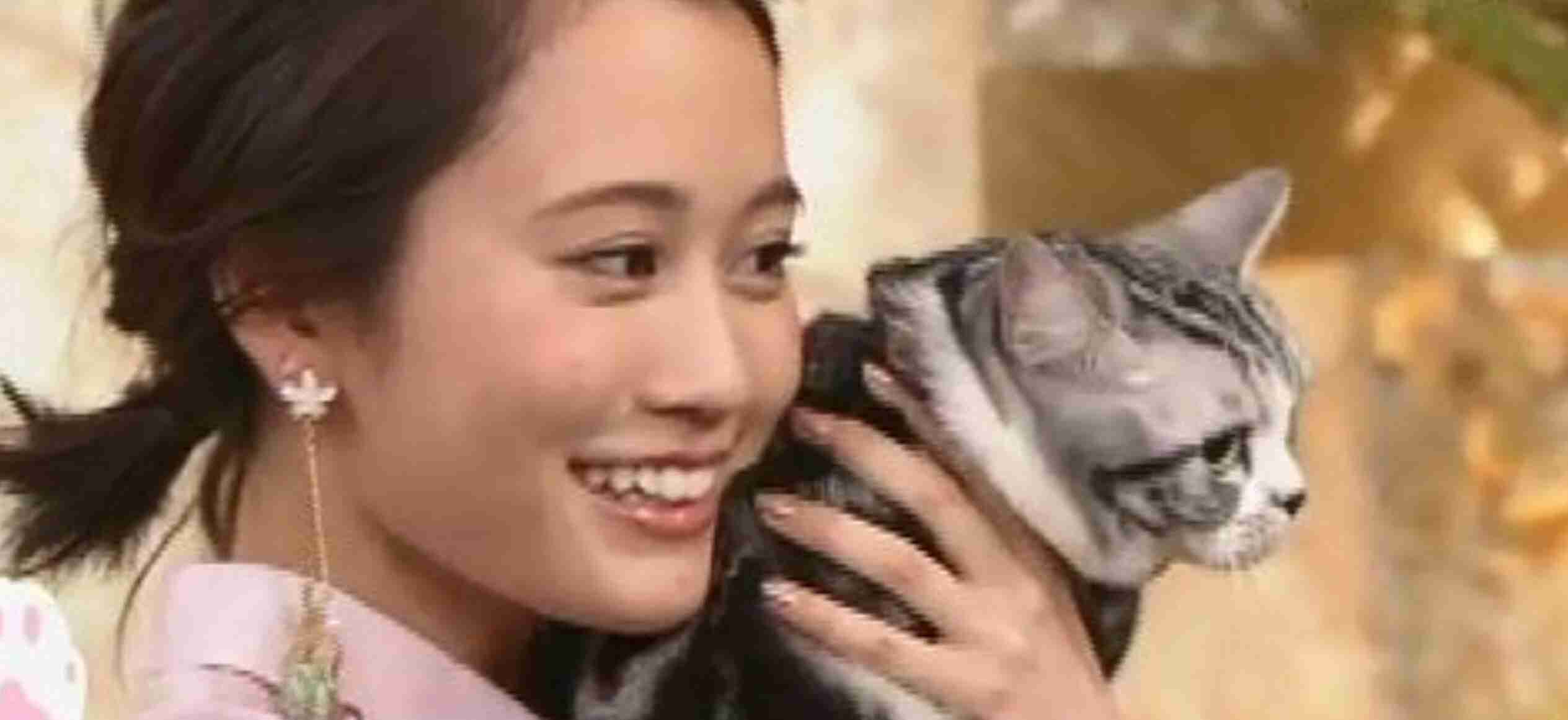 芸能人と動物の写真