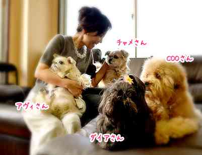 芸能人と動物の写真