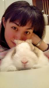 芸能人と動物の写真