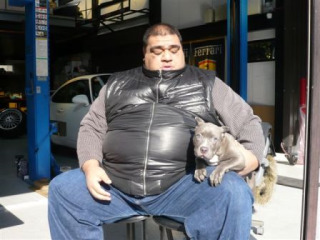 芸能人と動物の写真