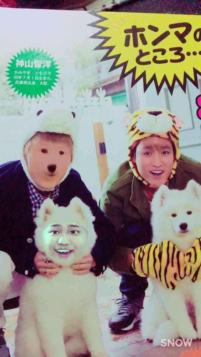 芸能人と動物の写真