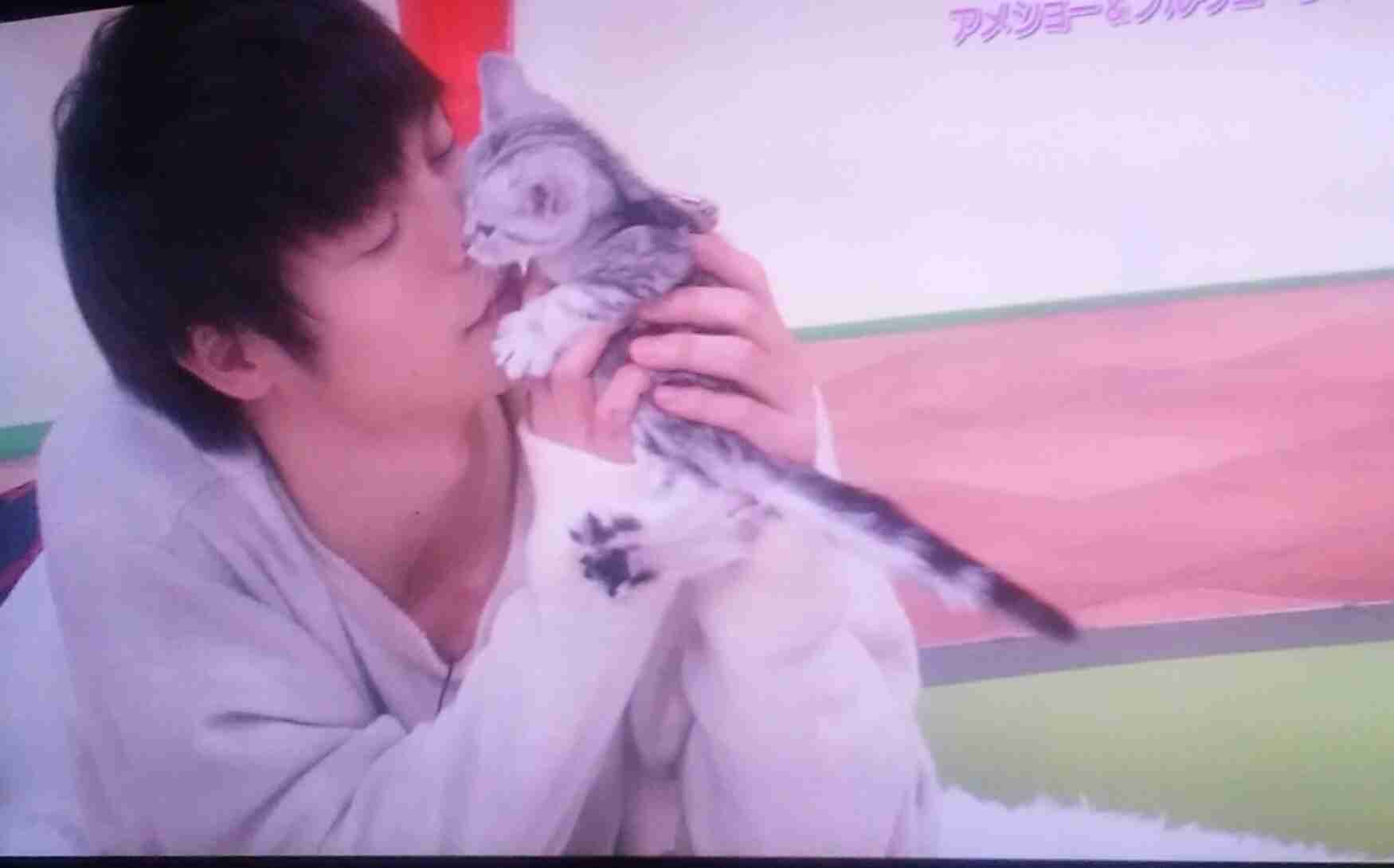 芸能人と動物の写真
