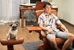 芸能人と動物の写真