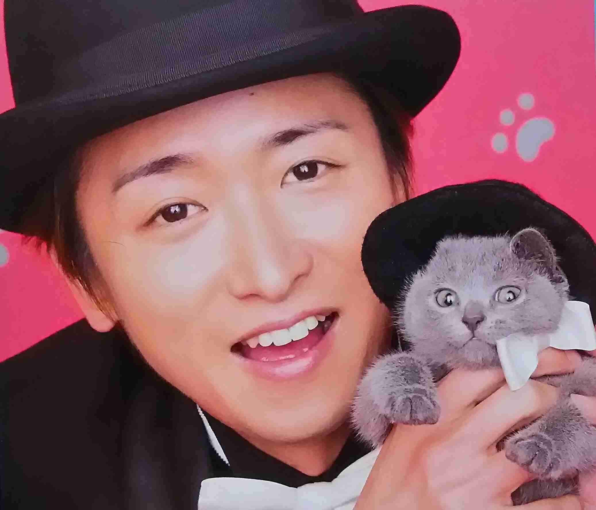 芸能人と動物の写真