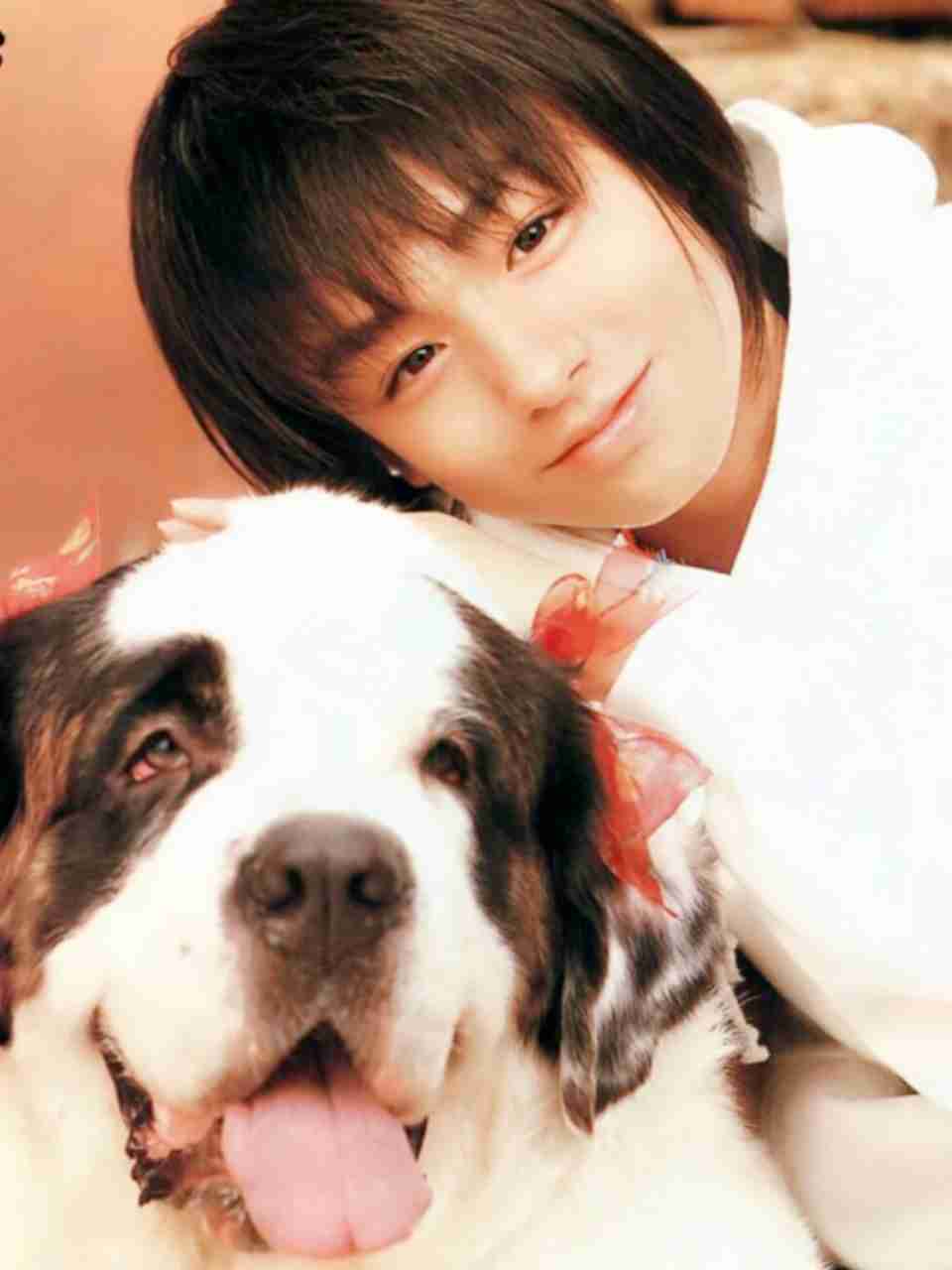 芸能人と動物の写真