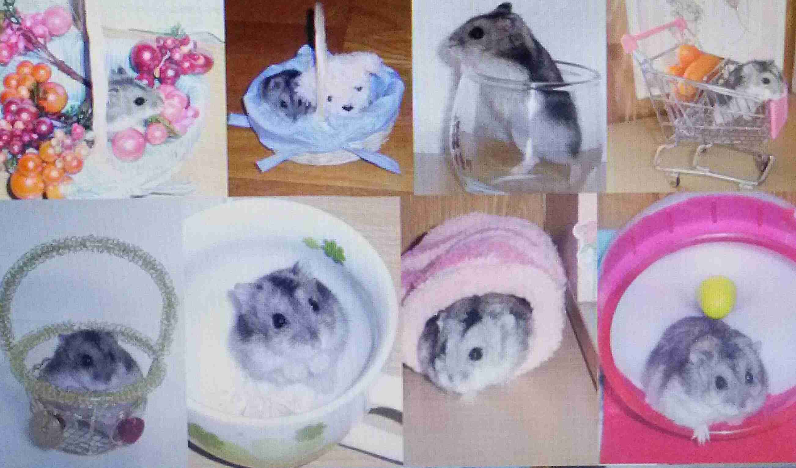 年賀状、まだ出せてない人いる？
