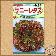 【暇トピ】カレー作りの工程を一つずつ書いていくトピ