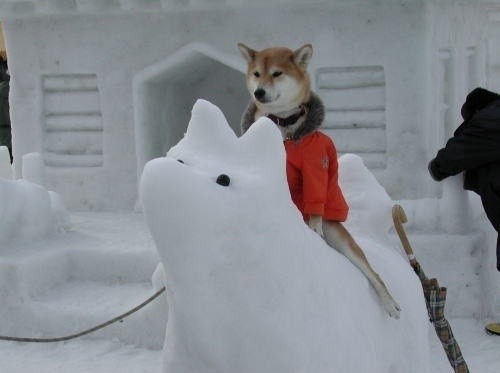 『画像』ミックス犬が見たい