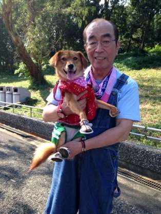 『画像』ミックス犬が見たい