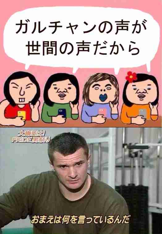 ガルちゃん内芸能人好感度調査【2017新春】